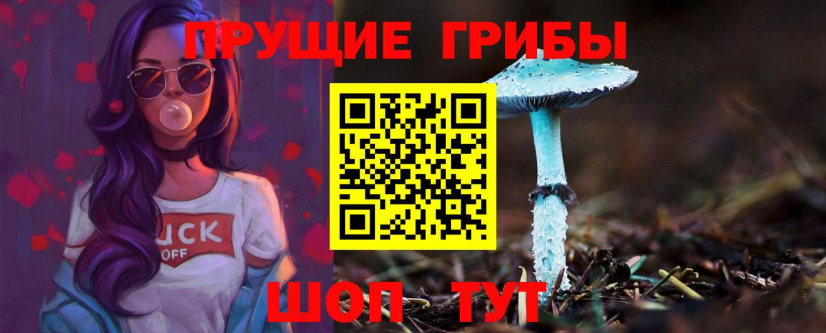 Лосино-Петровский  Псилоцибиновые грибы Psilocybe  Вход с VPN 