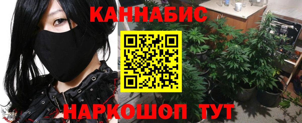 Бошки марихуана сатива Лосино-Петровский